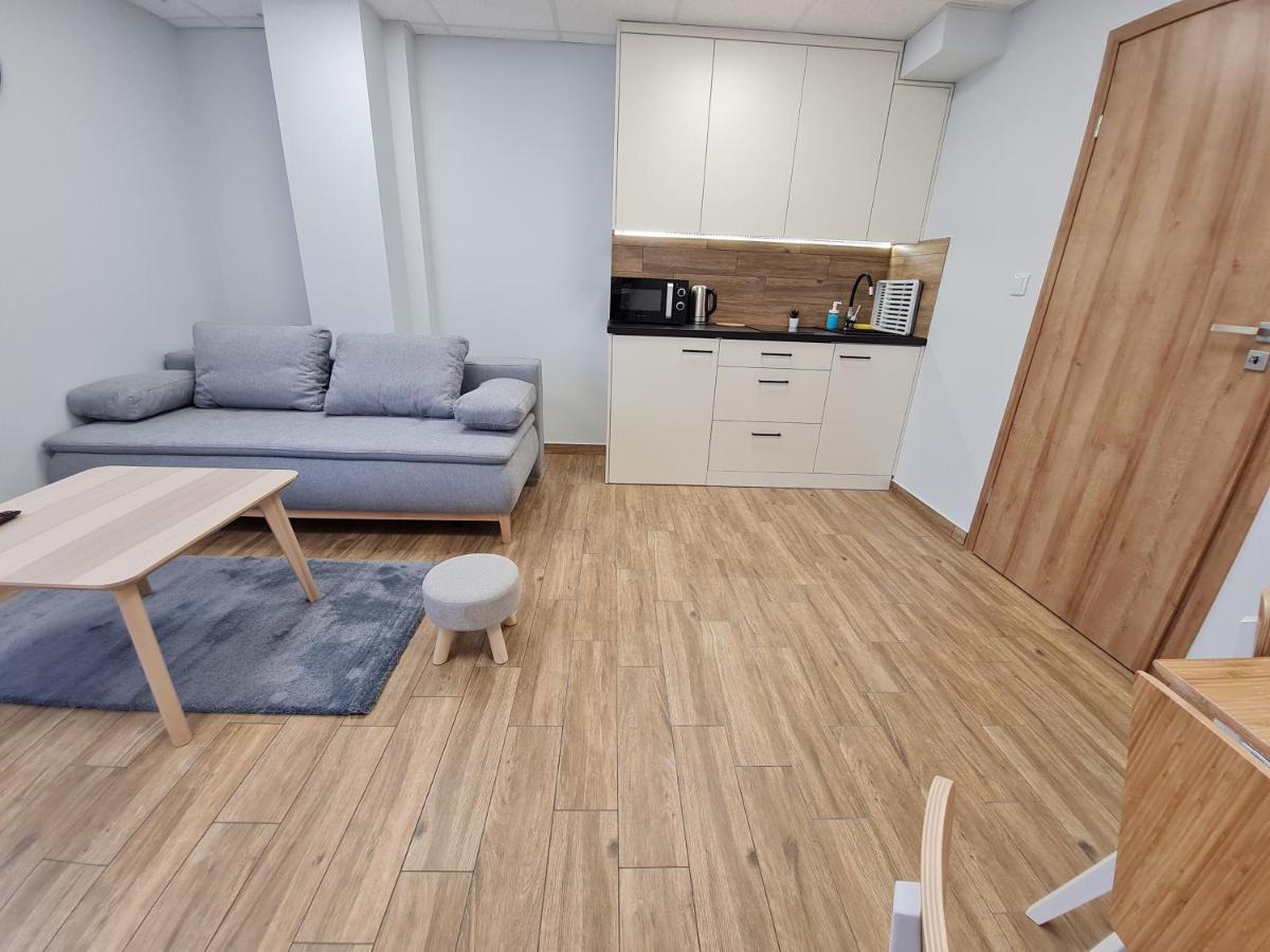 Apartament Laki18 Вадовіце Екстер'єр фото