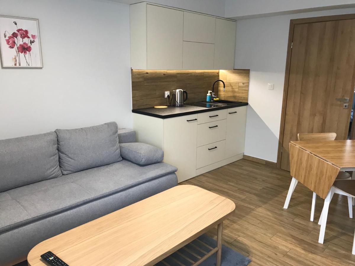 Apartament Laki18 Вадовіце Екстер'єр фото